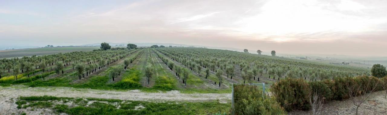 Vivienda Rural Olivar De San Telmo Arcos de la Frontera Kültér fotó