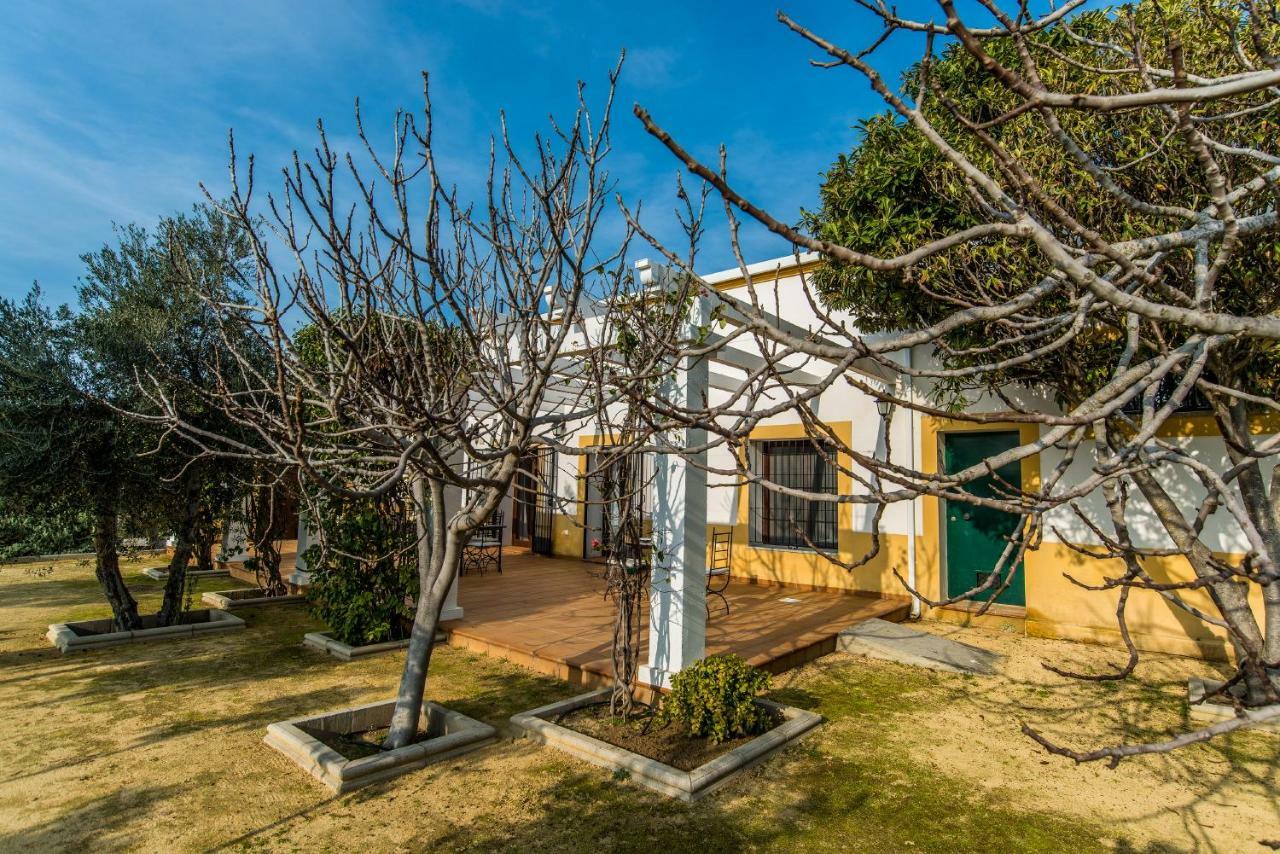 Vivienda Rural Olivar De San Telmo Arcos de la Frontera Kültér fotó
