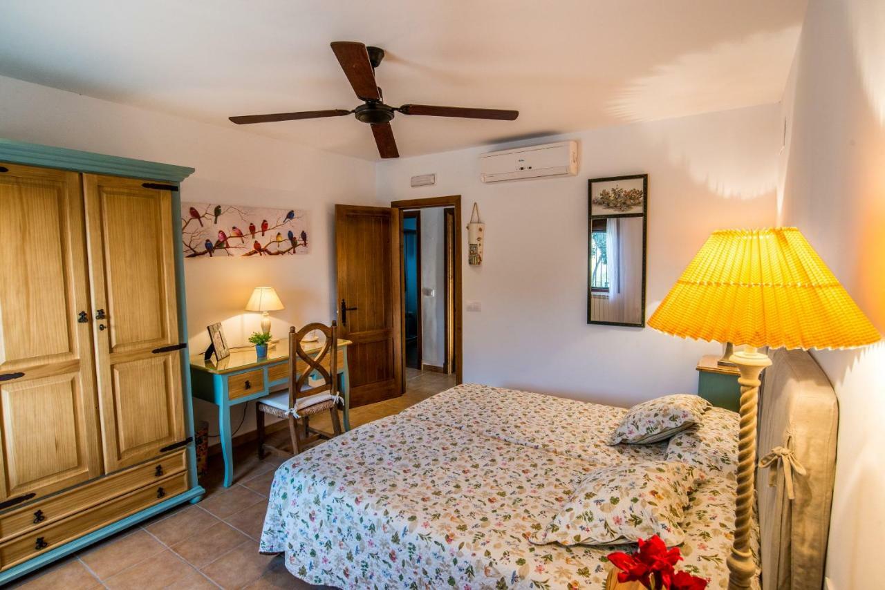 Vivienda Rural Olivar De San Telmo Arcos de la Frontera Kültér fotó