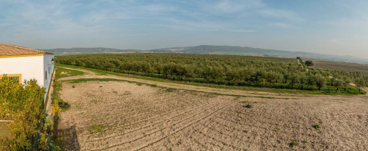 Vivienda Rural Olivar De San Telmo Arcos de la Frontera Kültér fotó
