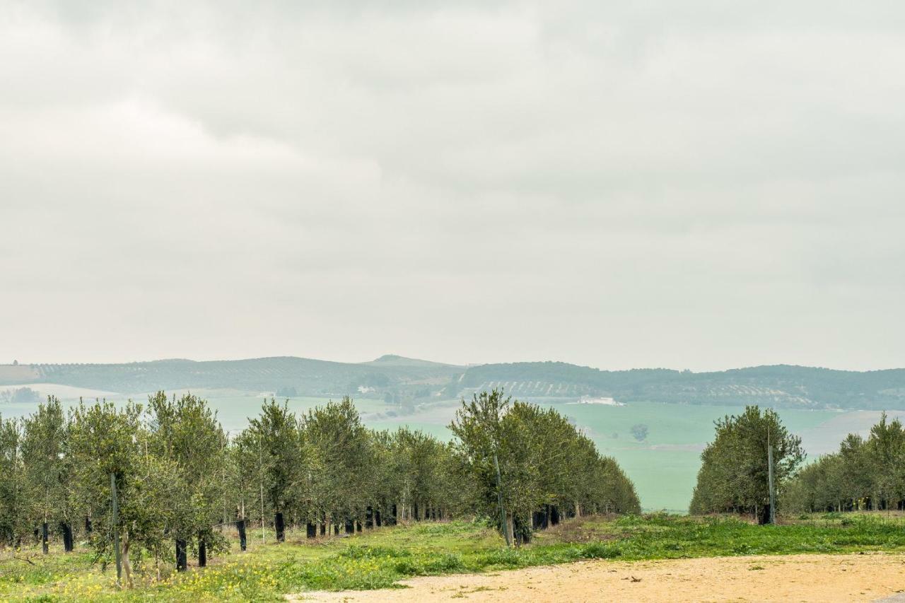 Vivienda Rural Olivar De San Telmo Arcos de la Frontera Kültér fotó