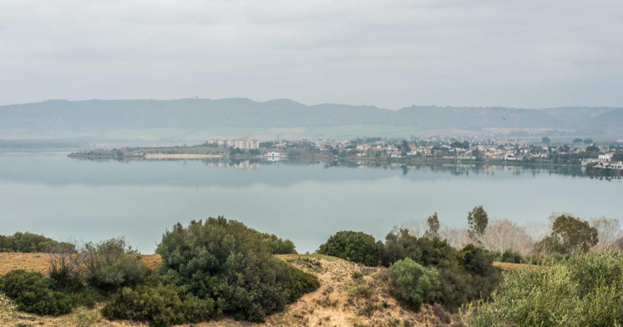 Vivienda Rural Olivar De San Telmo Arcos de la Frontera Kültér fotó