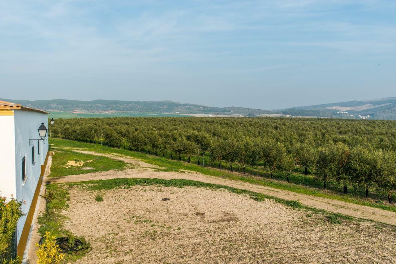 Vivienda Rural Olivar De San Telmo Arcos de la Frontera Kültér fotó